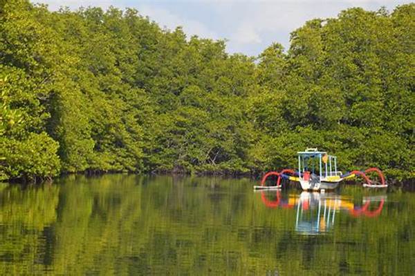 Eco-tour Mangrove Cirebon, 53 280 Bibit Ditanam