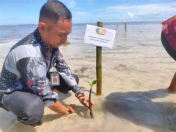 Penanaman Mangrove Indramayu-cirebon: Aksi Nyata Lingkungan