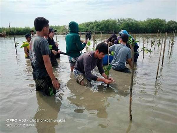 Program Tanam Mangrove Indramayu Libatkan Komunitas Cirebon